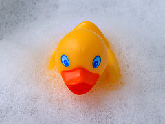 rubber duck in a bubble bath