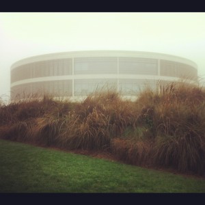 library in morning fog